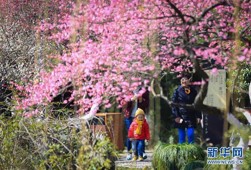 中国各地で好天続く、そこかしこに広がる春の景色