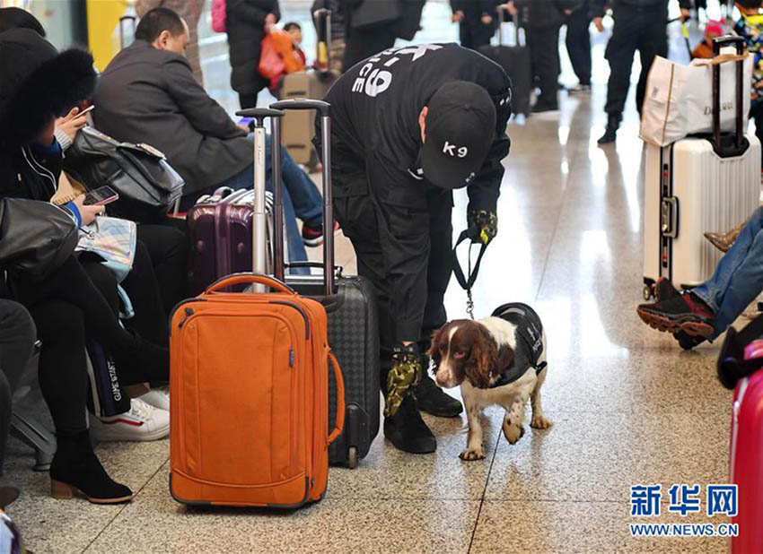 春運期間中の旅客の安全を守る　石家荘駅でパトロールにあたる警察犬