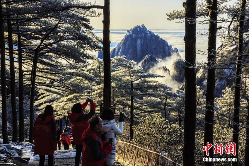 安徽省の黄山に広がる雲海　美しい光景に魅了される観光客たち