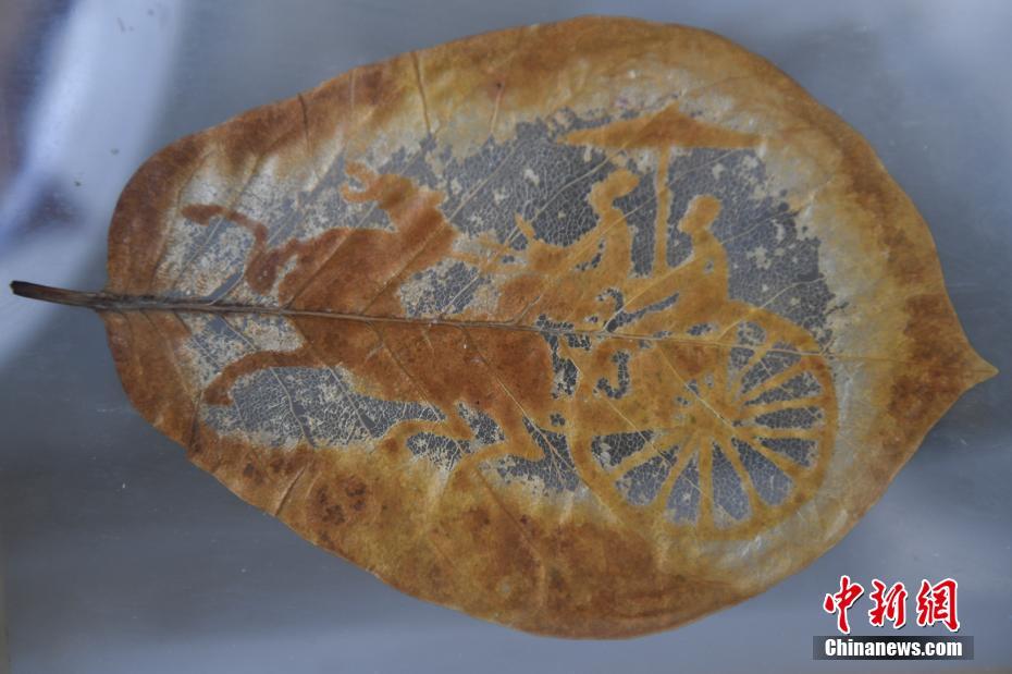 山西省襄垣の民間伝統工芸職人が木の葉に刻む美しい世界