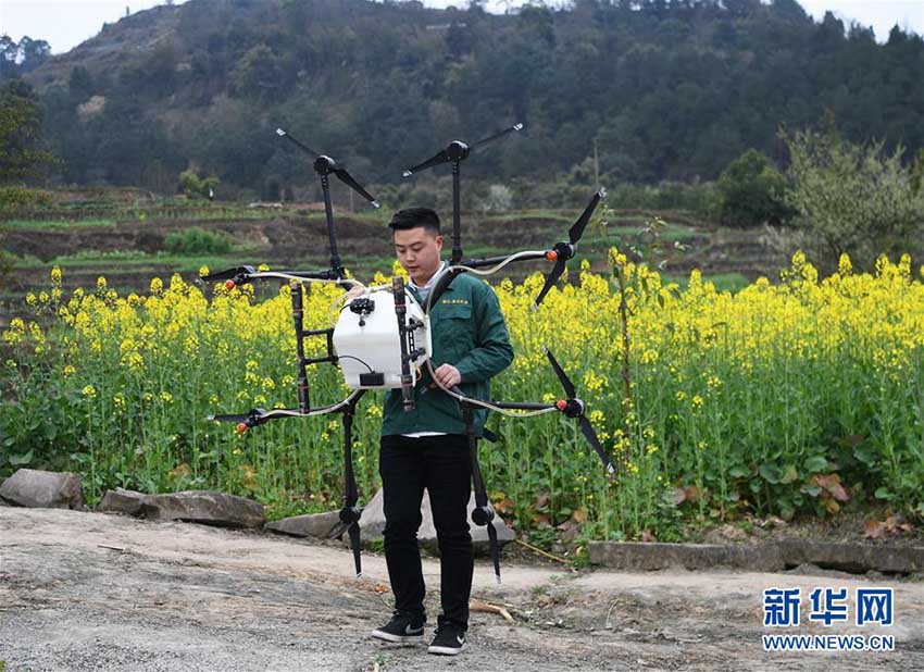 重慶市で春の農作業開始　ドローン利用した効率的な農薬噴射作業を実施