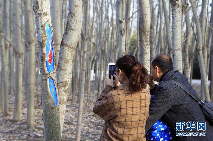公園に出現した生き生きとした描写の「樹洞アート」　寧夏