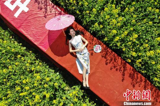 瀏陽市の菜の花畑でチャイナドレスコンテスト開催　湖南省