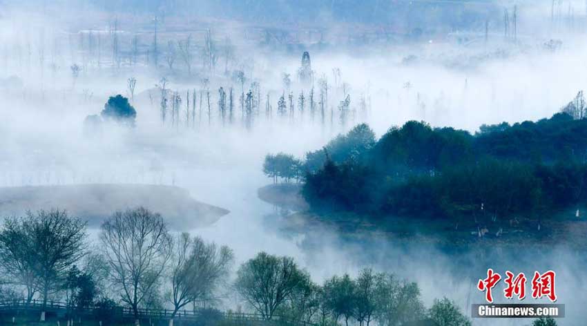 朝靄に包まれた幻想的な美しい風景を見せる湿地公園　江西省