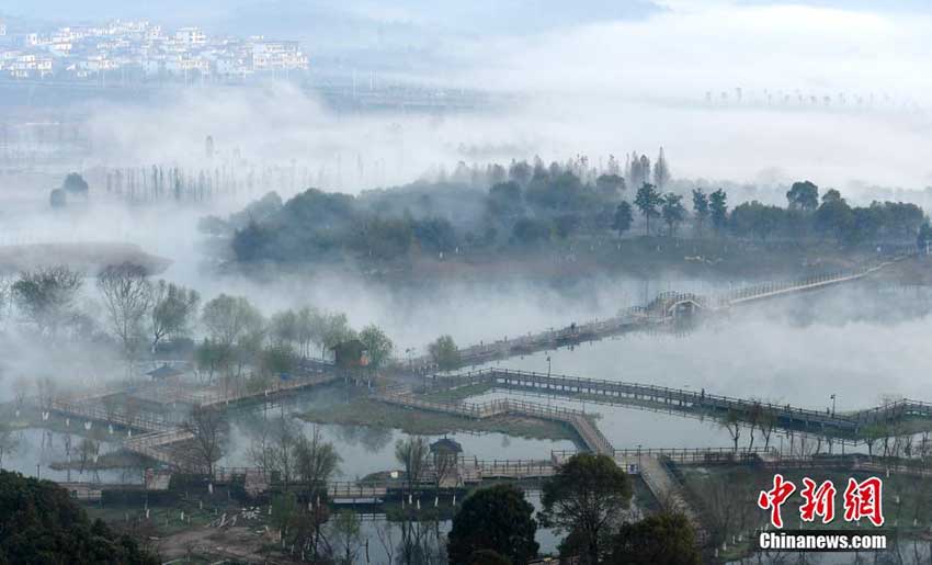朝靄に包まれた幻想的な美しい風景を見せる湿地公園　江西省
