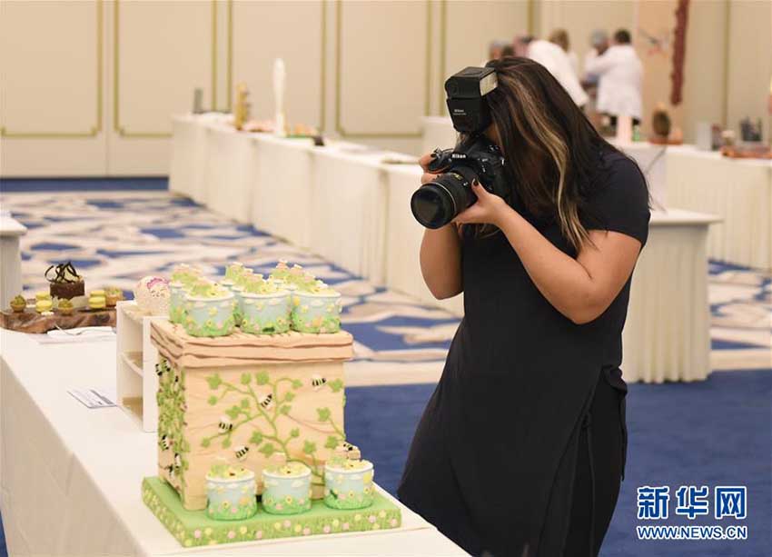 ケーキで作り出したアートの世界、トルコでケーキ・フェスティバル開催