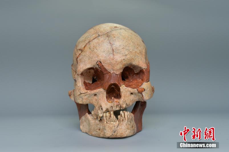 広西壮族自治区で1万6千年前の人類の頭蓋骨化石を発見
