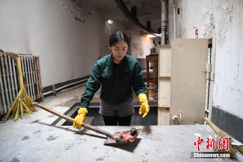 吉林省の虎園で飼育員として働く女性　「チャレンジに満ちた仕事」