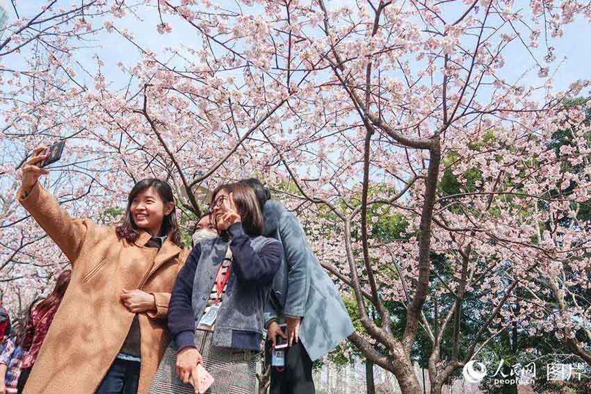 春の花々が開花した静安雕塑公園　多くの上海市民が押し寄せる