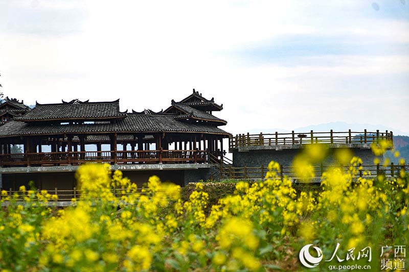 色鮮やかな花咲き誇る　広西壮族自治区小寨村の春の景色