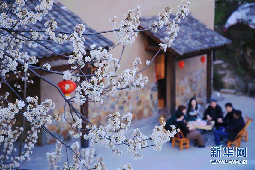 中国各地でぽかぽか陽気　春の景色を楽しむ観光客たち
