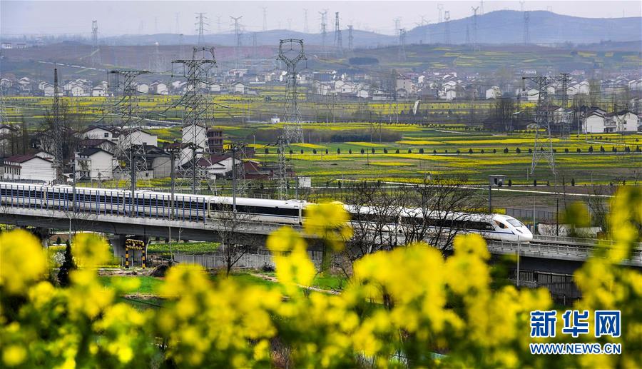 菜の花の間を走り抜ける列車　陝西省