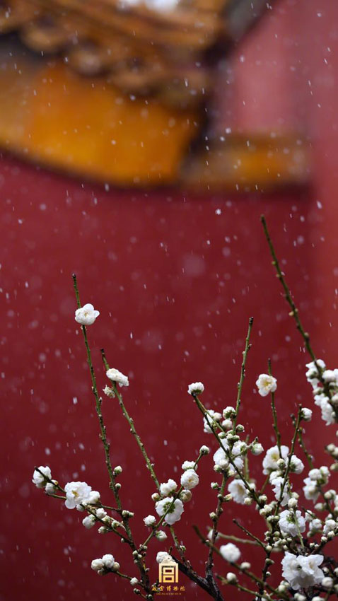 壁紙にも使える！美しすぎる故宮公式サイト発表の初雪フォト