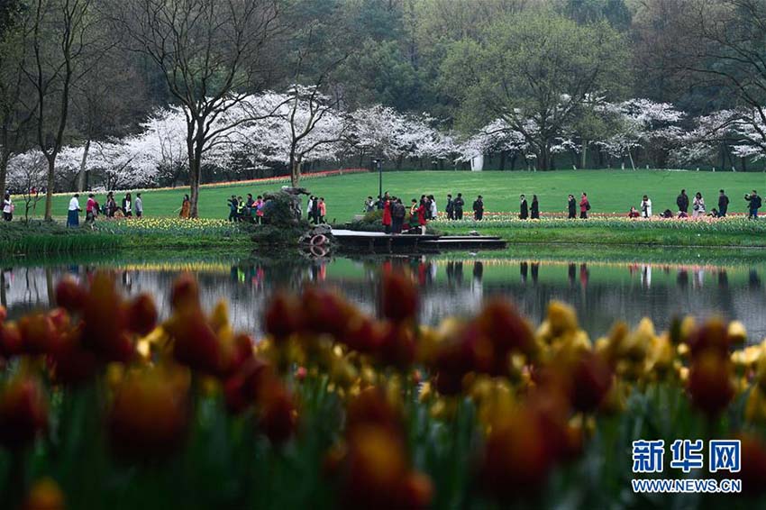 春爛漫！カラフルな花が咲き誇る西湖の湖畔　浙江省