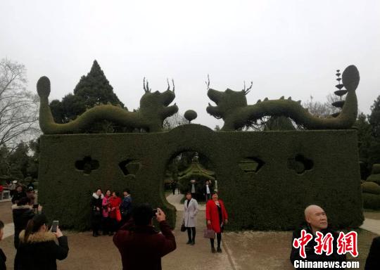 いろんな動物をかたどった松の木アート　河南省の淮陽独秀園