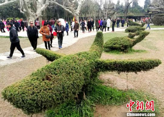 いろんな動物をかたどった松の木アート　河南省の淮陽独秀園