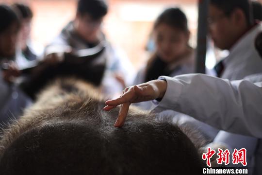 まずは牛の治療から 南京農業大学が中獣医学課程を新設