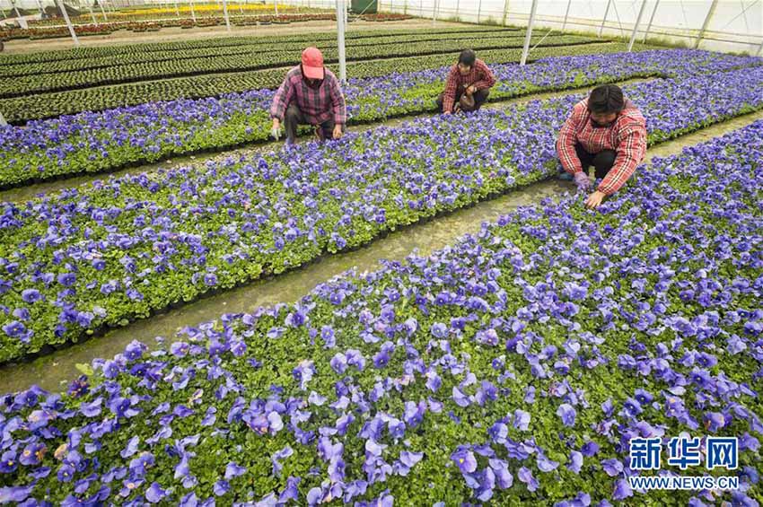 春分到来　春の繁忙期に突入する中国各地の農家