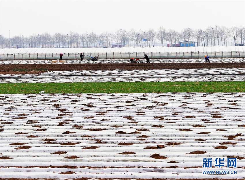 春分到来　春の繁忙期に突入する中国各地の農家