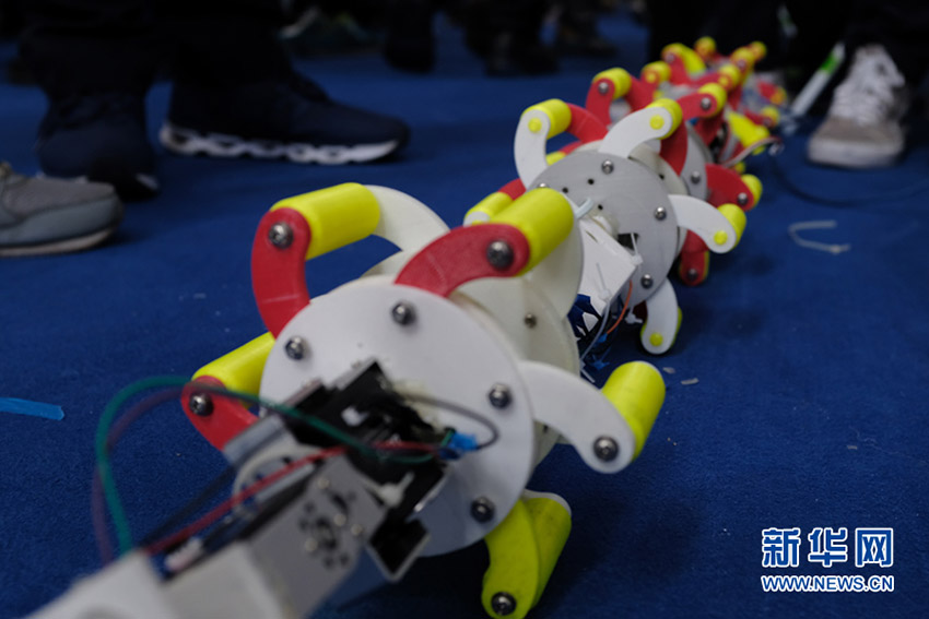 第38回北京青少年科技創新大会開催　革新的なハイテク作品が集結