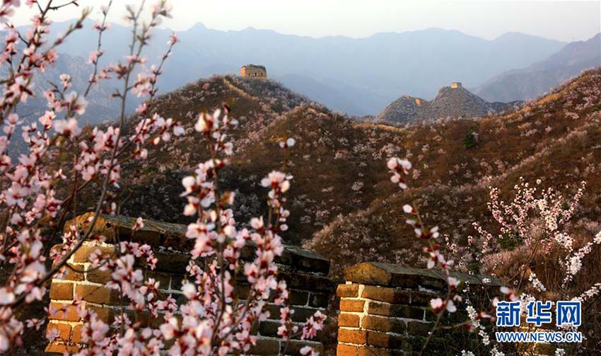 「古長城」に春の訪れ　北京市