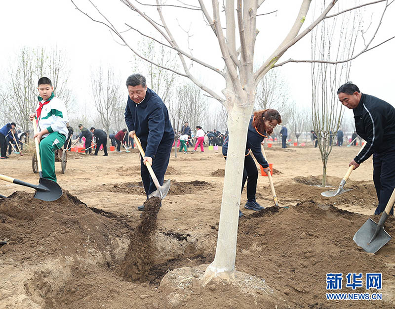 習近平国家主席が北京市の植樹イベントに参加
