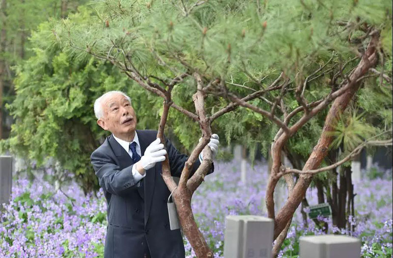 日本のある友好団体のメンバー、33年間毎年訪中して「緑の贖罪」