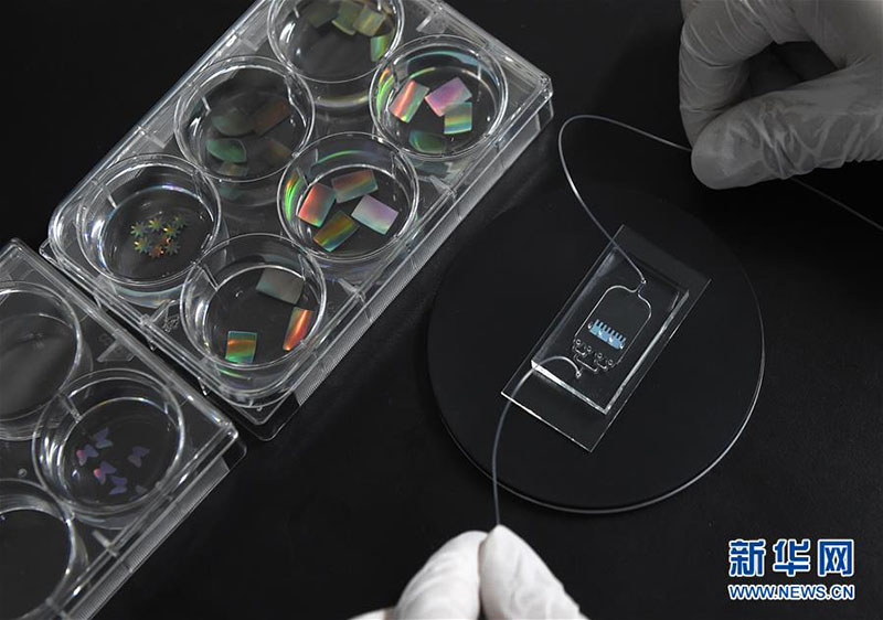 中国人科学者が見える「心臓チップ」を開発