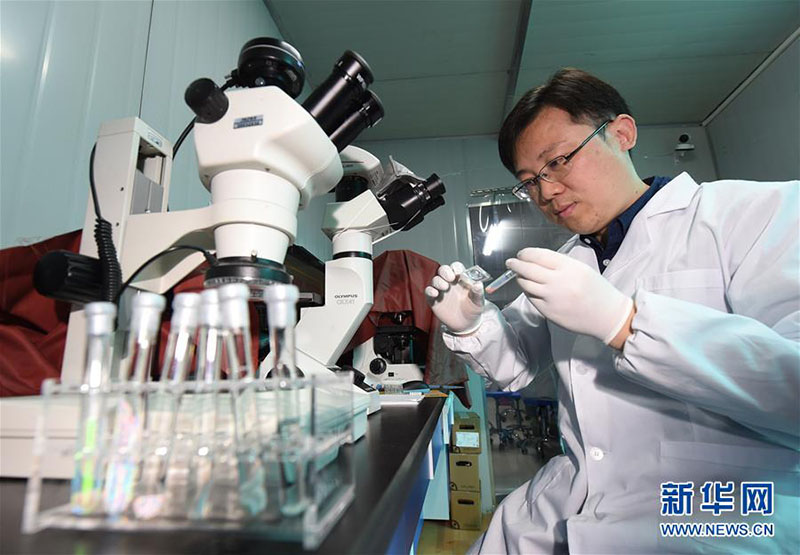 中国人科学者が見える「心臓チップ」を開発
