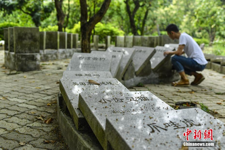 世界で絶滅してしまった動物の墓石モニュメントが並ぶ広州市の公園