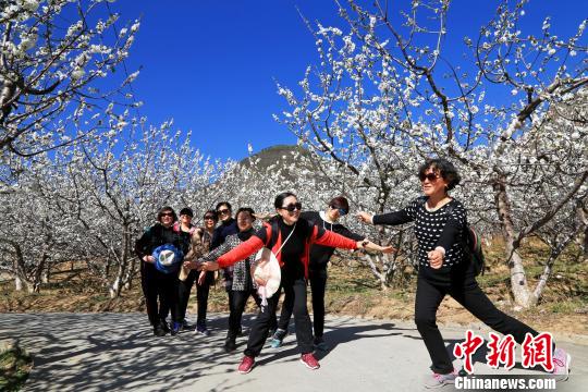 四川省茂県で桃の花が満開　羌族の里はベストシーズン