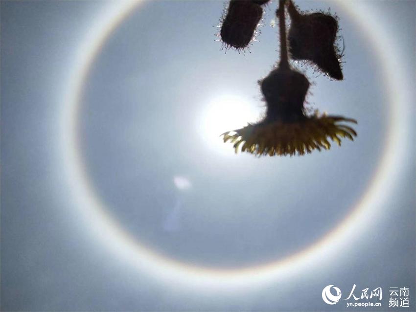 雲南省昆明市の上空に珍しい「日暈」発生