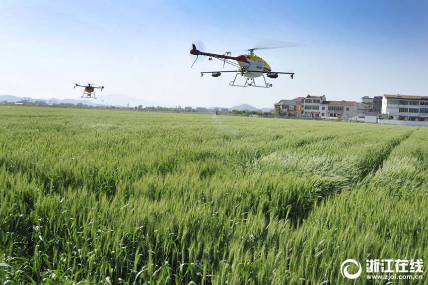 浙江省諸曁市で農業機械推進イベント開催　農業機械の卓越した性能を披露