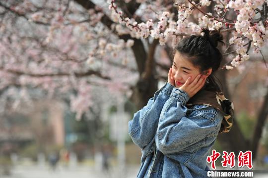 ピンク一色の美しい風景広がる　遼寧省瀋陽市で桃の花が満開に