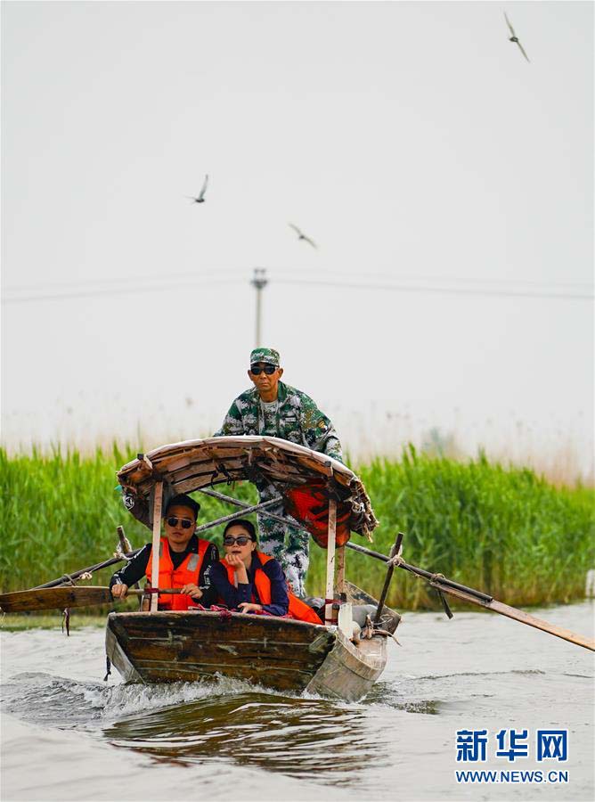 観光客惹きつける風光明媚な白洋淀景勝地　河北省