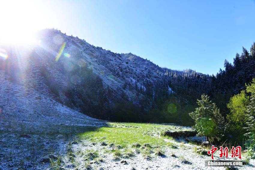 夏と冬が入り混じった不思議な景色　雪に覆われた甘粛省の祁連山