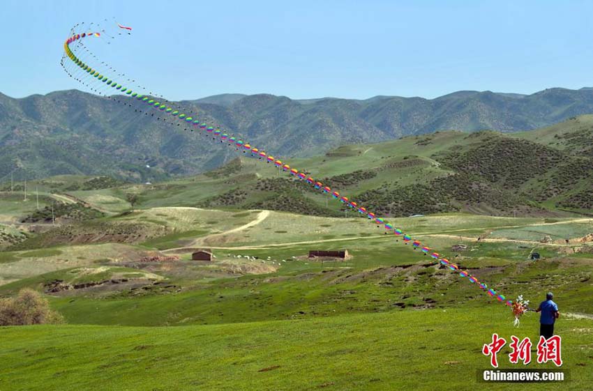 新疆ウルムチで凧ショー　ユニークなデザインの凧が上空を舞う