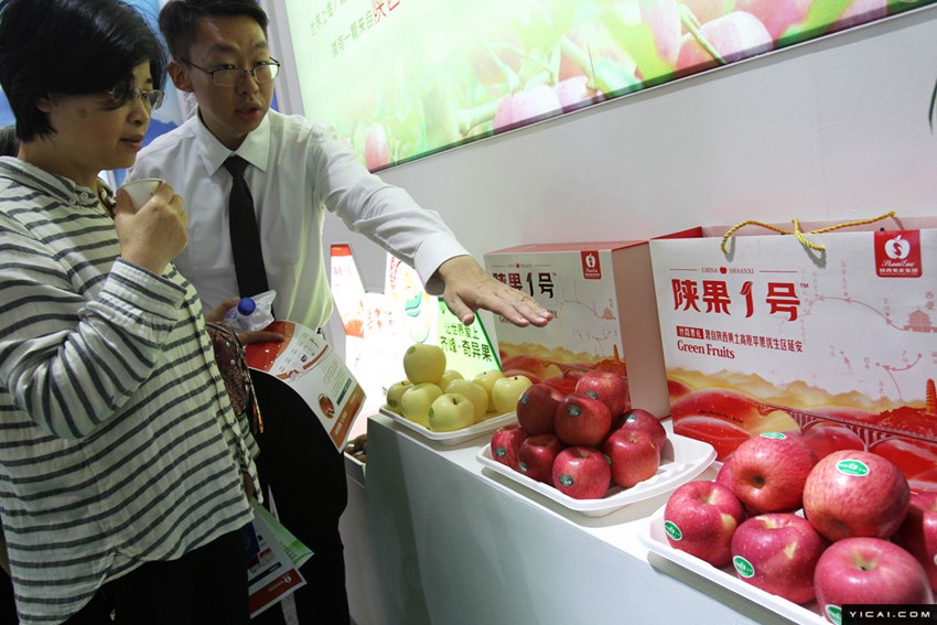 第1回中国ブランドデー開幕「中国製造」が上海に集結