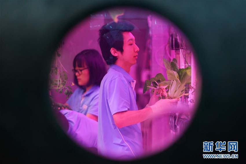 北京航空航天大学の「月宮365」密閉実験が無事終了　世界記録樹立