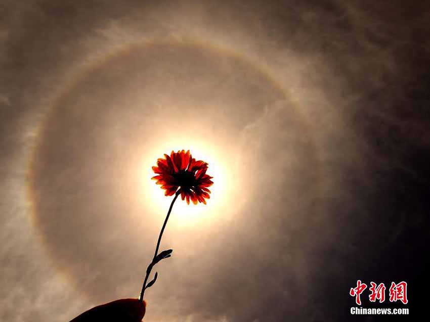 ラサ市上空に珍しい日暈出現　チベット自治区