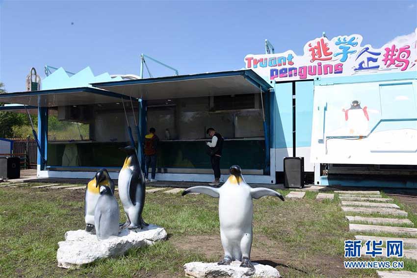 人気者のペンギンたち「ツアーカー」で黒竜江省巡回ツアーへ