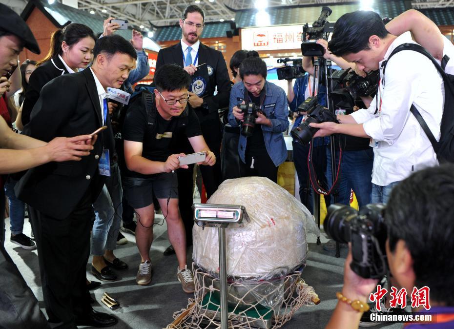 福建省福州市のイベントに重さ128．3キロの巨大魚つみれ登場　世界一認定