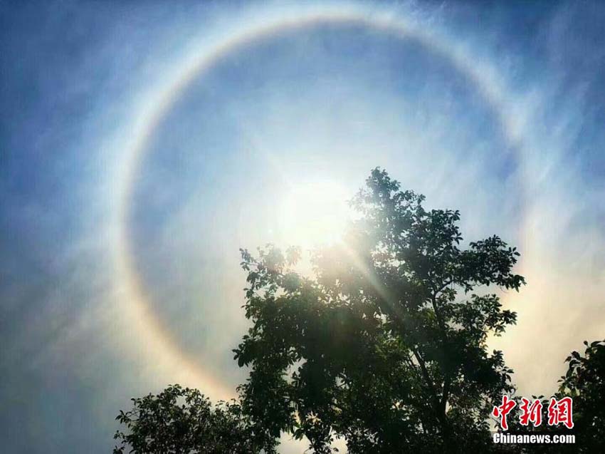 四川省の各地で日暈が発生　多くの市民がネットに写真投稿