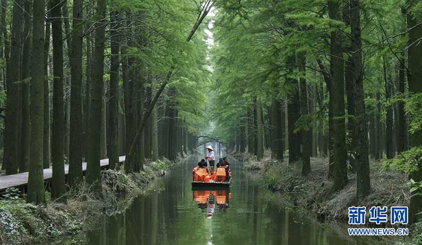 まるで絵巻物の世界、「水上森林公園」を巡る　江蘇省