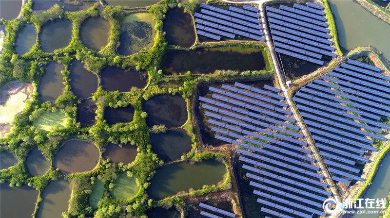 養殖・太陽光相互補完でグリーンな発展を促進