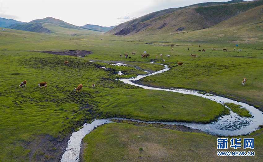 内蒙古草原、青々とした草が生い茂るシーズンに