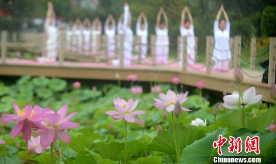 揚州市の景勝地でハスの花に囲まれながらヨガパフォーマンス