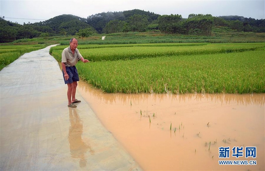広西壮族自治区各地で洪水多発し、被災者9万人以上に