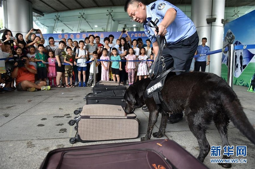 麻薬探知犬が一般公開イベントで捜査の様子を実演　広東省