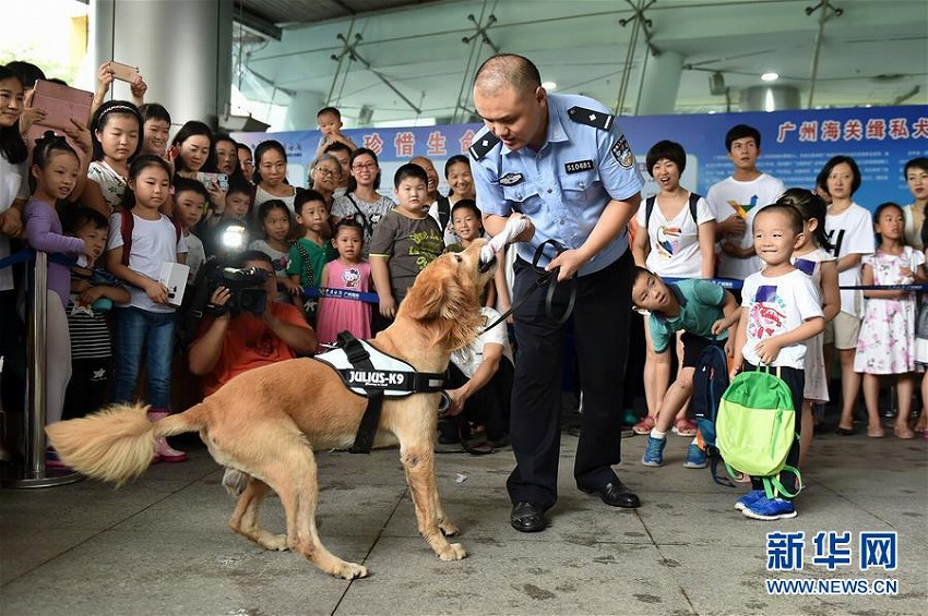 麻薬探知犬が一般公開イベントで捜査の様子を実演　広東省
